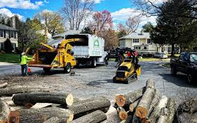 Best Tree Removal  in Onalaska, TX