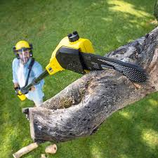 Best Hazardous Tree Removal  in Onalaska, TX