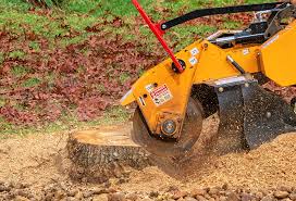 Reliable Onalaska, TX Tree Services Solutions
