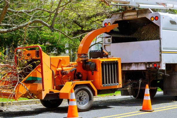 Best Tree and Shrub Care  in Onalaska, TX