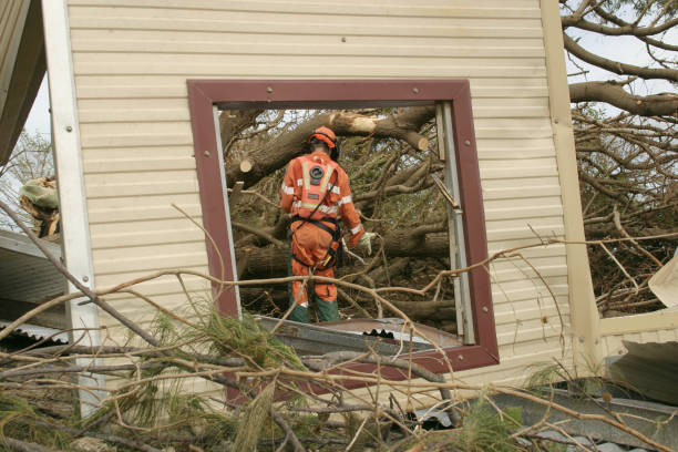 Leaf Removal in Onalaska, TX