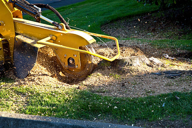 Lawn Irrigation Installation and Maintenance in Onalaska, TX